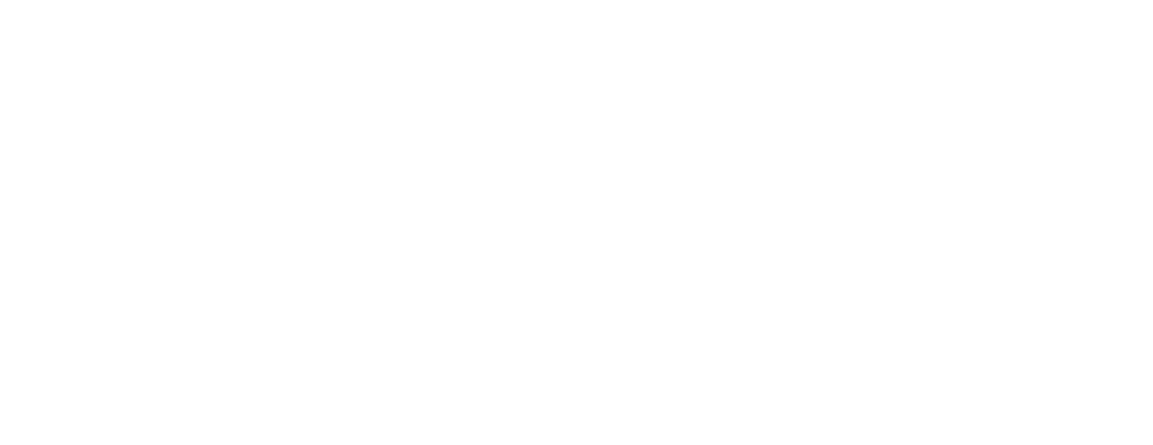 WellPlan logo