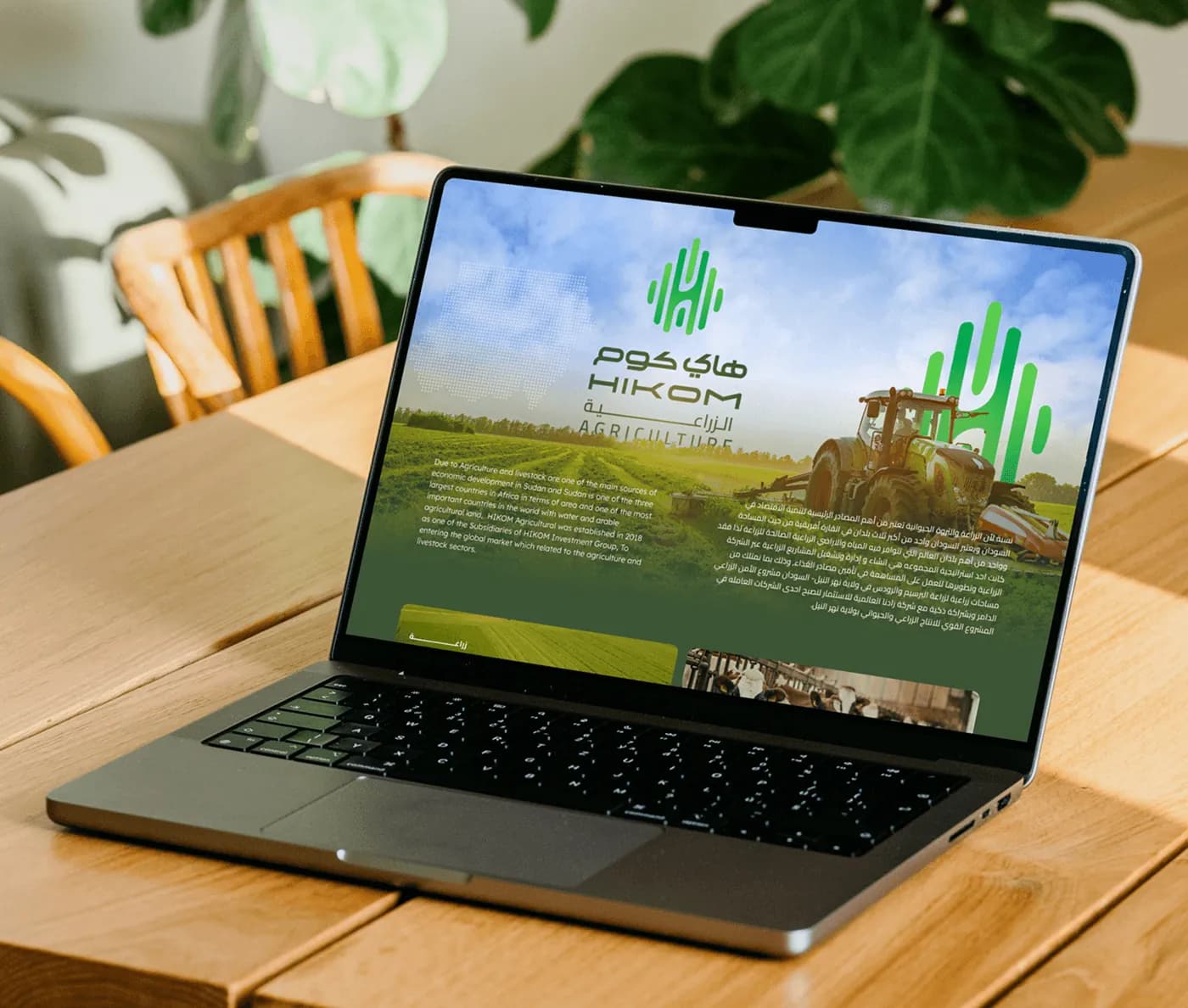 Self Employed Projects: image 2 of 19 from the case study